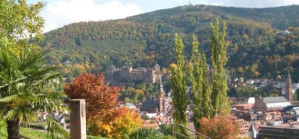 Ausblick vom Philosophenweg (Foto: Dienemann)