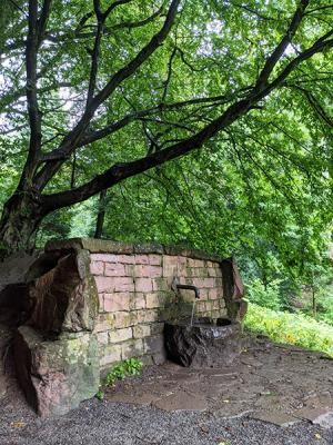 Wasserstelle für Wanderer und Spaziergänger im Wald