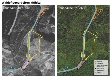 Luftaufnahme des Mühltals