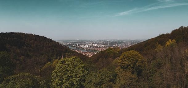 Blick auf den Stadtwald.