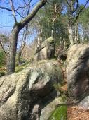 Granitfels in der Neuenheimer Schweiz (Foto: Stadt Heidelberg)