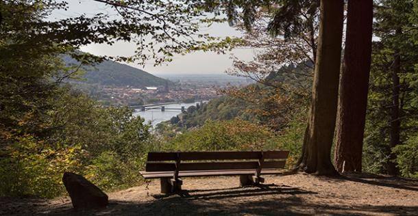 Blick auf Heidelberg (Foto: Diemer)