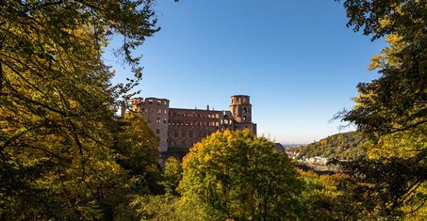 Im Vordergrund Bäume und Hecken. Im Hintergrund das Heidelberger Schloss.