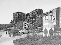 Emmertsgrund 1976 (Foto: Stadt HD) Emmertsgrund 1976 (Foto: Stadt HD)