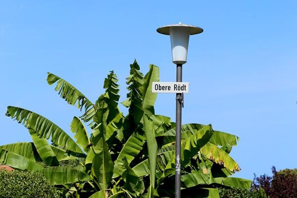 Hinterhausgärten Obere Rödt (Foto: Stadt Heidelberg)