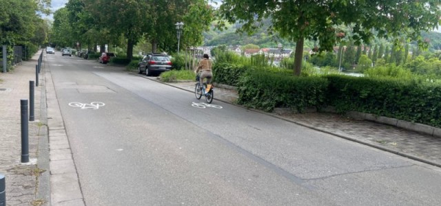 Die Uferstraße mit den neuen Piktogrammen, die jeweils ein Fahrrad abbilden.