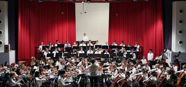 Das Sinfonische Aufbauorchester (Foto: Musik- und Singschule)