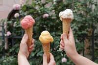 Drei Hände die jeweils eine Eiswaffel mit einer Kugel Eis in der Hand halten