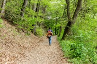 Person auf dem Philosophenweg