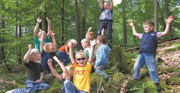 Waldpädagogik für Schulen (Foto: Forst BW)