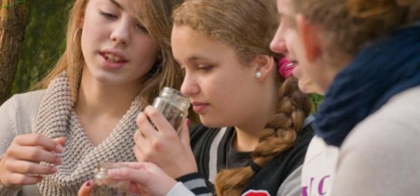 Weiterführende Schulen (Foto: Fülop)