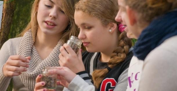 weiterführende Schulen (Foto: Fülop)