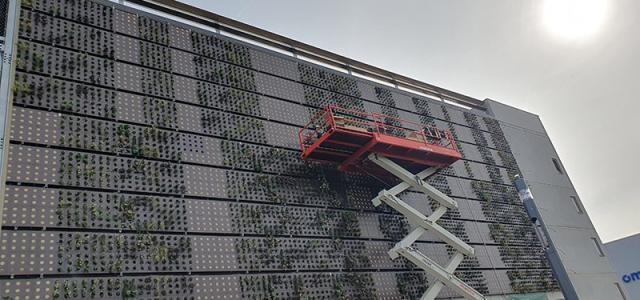 Für Klima- und Artenschutz: Die Fassade am hip-Parkhaus im Heidelberg Innovation Park in Heidelberg-Kirchheim wird großflächig begrünt.