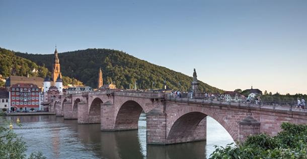 Blick auf Heidelberg (Foto: Diemer)