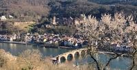 Man sieht die Stadt Heidelberg im Frühling. 