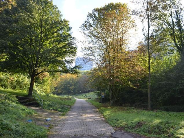 Weg in der Natur (Foto: Großkinsky)