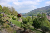 Eichendorffanlage am Philosophenweg (Foto: Stadt Heidelberg)