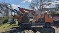 Ein LKW mit einem Baum