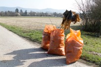 Putzaktion der Sportvereine_Auftakt Frühjahrsputz 2016_030