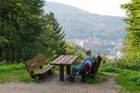 Space to breathe – Heidelberg’s city forest has achieved certification as a ‘recreational forest’. (Photo: Anspach)