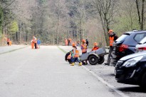 Waldputz 2017_20_Stadt Heidelberg