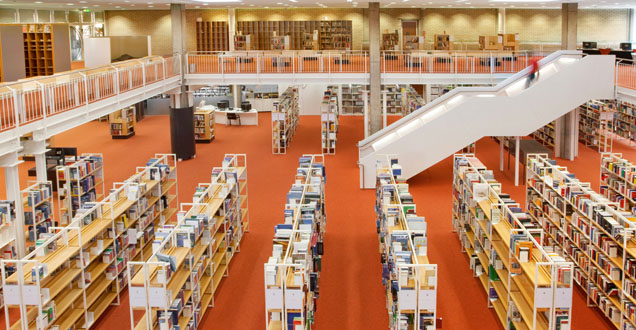 Public Library (Photo: Buck)