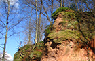 Rocky landscape with trees (Photo: City of Heidelberg)