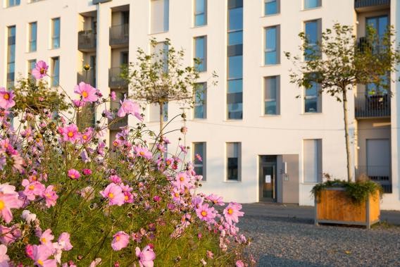 Herbst in der Bahnstadt (Foto: Buck)