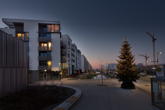 Christmas in Bahnstadt (Foto: Buck)