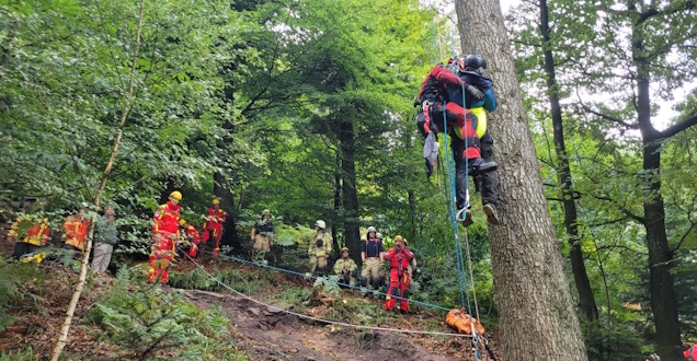Abseilen vom Baum Gemeinsam mit einem Höhenretter wird der Flieger vom Baum abgeseilt