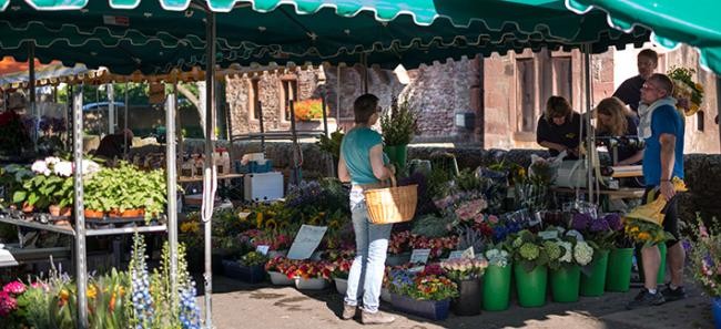 Market in Handschuhsheim. (Foto: Diemer)