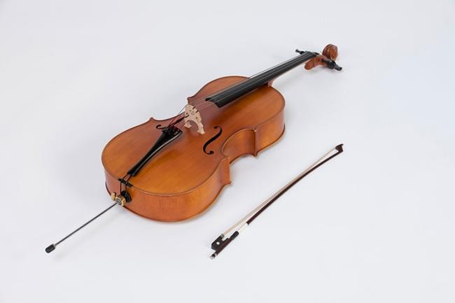 Violoncello (Foto: Buck)