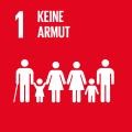 SDG Icon 1
