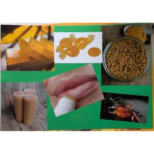 Kamishibai Die Biene Beispiel einer Kamishibai Karte