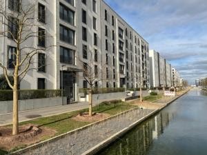 Bäume am Wasserbecken sind zurück. Foto: Stadt Heidelberg