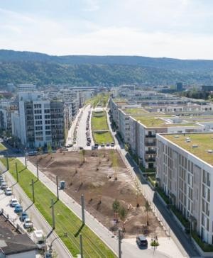 Knapp 30 Bäume wurzeln am Spitzen Eck, einem naturnah angelegten Erholungsort am Langen Anger. Der Name greift die spitz zulaufende Form des Grundstücks auf. Jetzt muss dort noch die Wiesensaat anwachsen. 