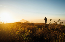 Monatsthema Januar (Bild: Tim Foster unsplash)