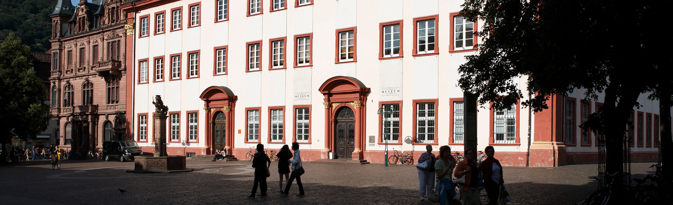 Heidelberg University (Photo: Heidelberg University)