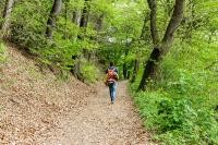 Wanderung im Wald (Foto: Stadt Heidelberg/ Pellner)