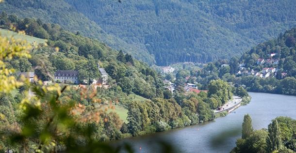 Ansicht auf den Neckar und Stift Neuburg. Im Hintergrund ist der Wald zu erkennen. (Foto: Diemer)