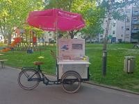 Rundgang durch Bergheim im Sommer 2017. (Foto: Dittmer) Rundgang durch Bergheim im Sommer 2017. (Foto: Dittmer)