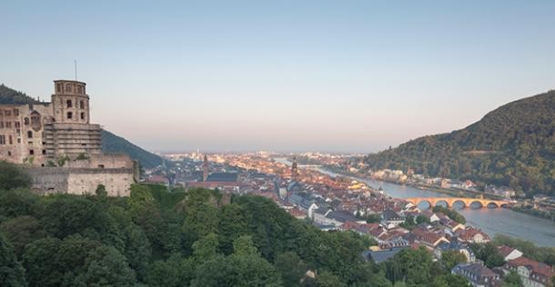 Blick auf Schloss und Altstadt (Foto: Diemer)