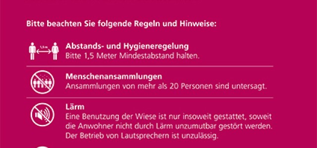 Schild der Stadt Heidelberg mit Regeln für die Neckarwiese (Foto: Stadt HD)