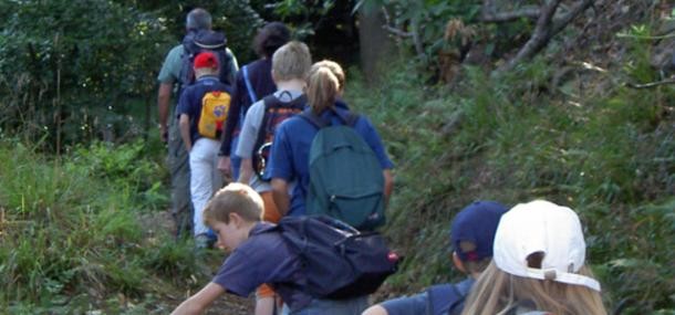  Schulklasse im Wald 