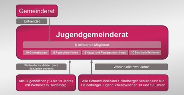 Überblick über die Zusammensetzung des Jugendgemeinderats.