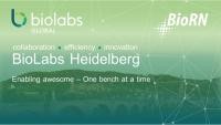 Bild zur Visualisierung BioLabs Heidelberg by BioLabs Global, USA und BioRN Life Science Cluster Rhein-Main-Neckar 