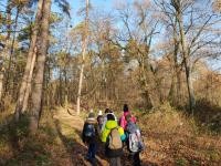 Schülergruppe im Wald.