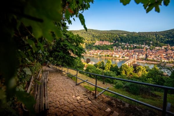 Schlangenweg im Sommer (Foto: Heidelberg Marketing) Schlangenweg im Sommer