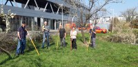 5 Angehörige des Obst- und Gartenbauvereins Kirchheim führten den Pflegeschnitt dru durch 5 Angehörige des Obst- und Gartenbauvereins Kirchheim führten den Pflegeschnitt dru durch