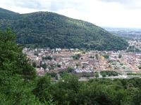 Foto vom Wald auf die Stadt Heidelberg zu Beginn des Neckartals